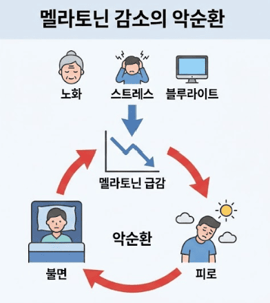 식물성 멜라토닌 효능 12가지, 수면부터 장 건강까지 알아보기 3 3