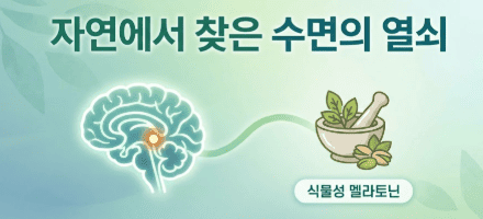 식물성 멜라토닌 효능 12가지, 수면부터 장 건강까지 알아보기 4 4
